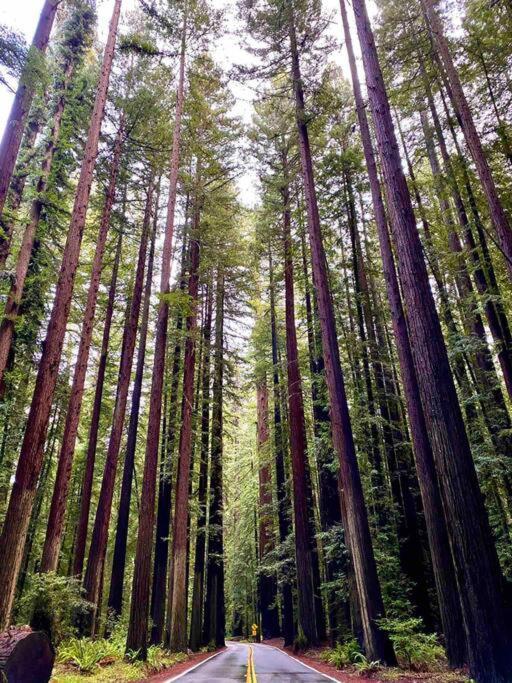 Avenue Of The Giants Pepperwood Place Miranda Kültér fotó